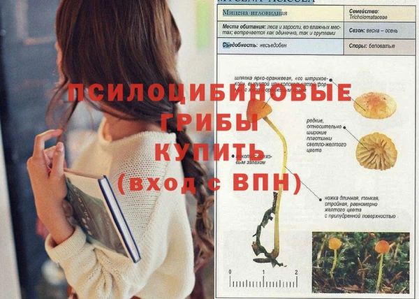 каннабис Баксан